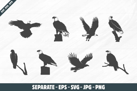Set of Bald Eagle SVG: American Eagle Graphics for Designers